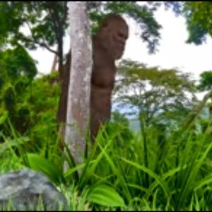 Meet your Posher, Terrence